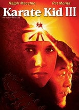 Karate Kid 3 | Vider - Sprawdź dostępne źródła
