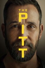 Plakat: The Pitt