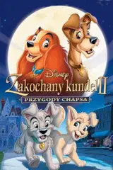 Zakochany kundel II: Przygody Chapsa Cały Film (2001) - Vider • Filmy-Vider.pl