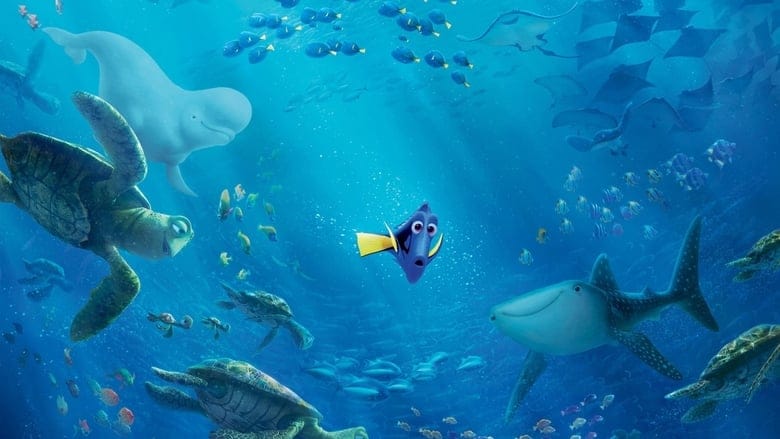Gdzie jest Dory Filman - Cały Film